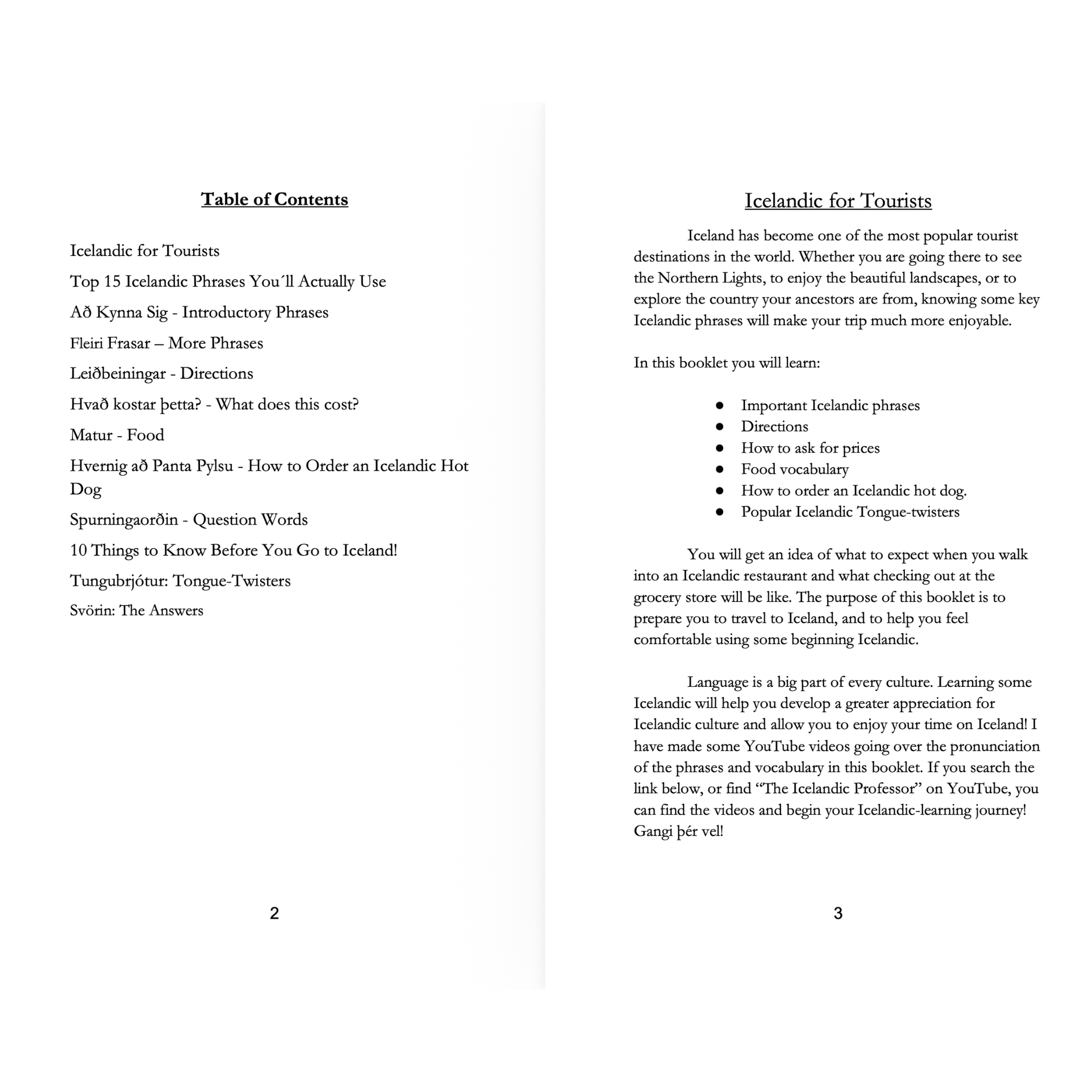 Icelandic for Tourists